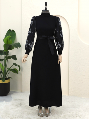 High Neck Organza Sleeve Stone Detailed Dress -Black