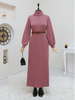 Turtleneck Belted Lycra Dress -Dried rose