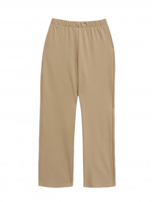 Judge Collar Front Stone Detailed Trousers Suit  -Mink color