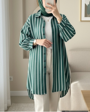 Button Down Long Back Striped Shirt -Emerald