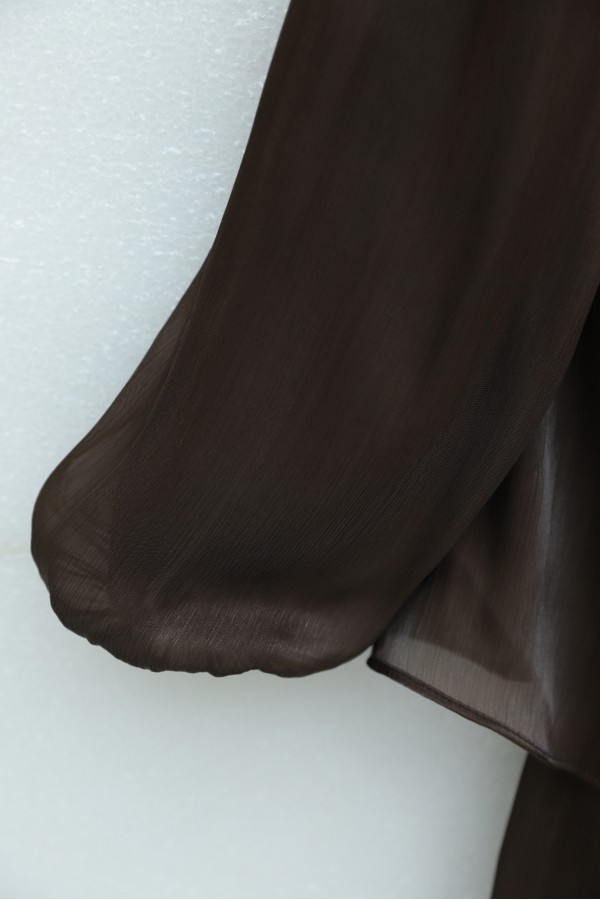 Shimmering Chiffon Dress with Elasticated Sleeves, Drawstring Waist, and Layered Skirt -Brown