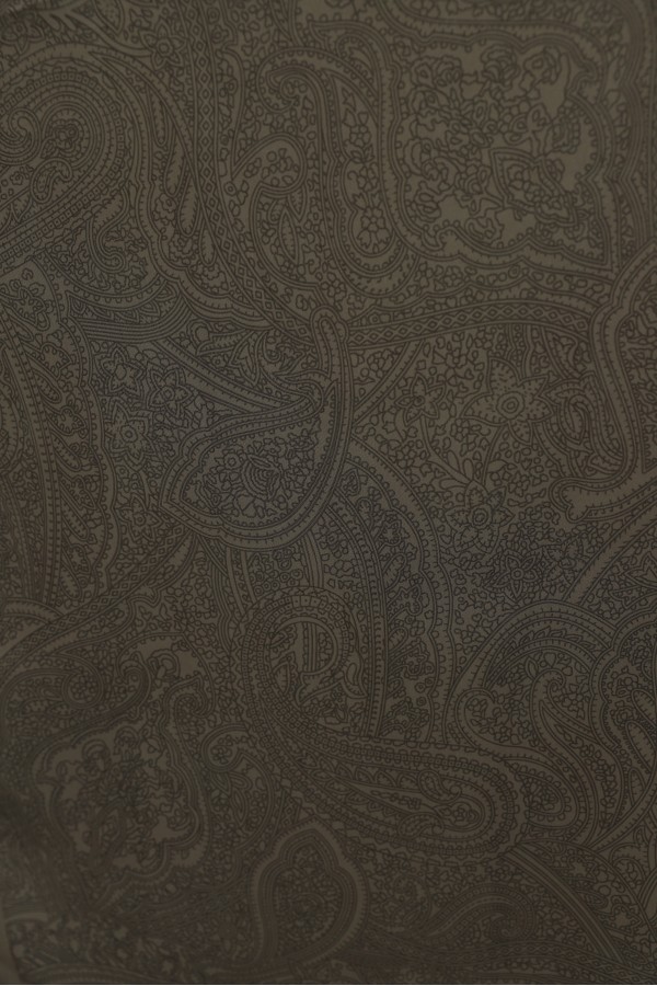 Fine Line Embroidered Cotton Scarf  -Light coffee