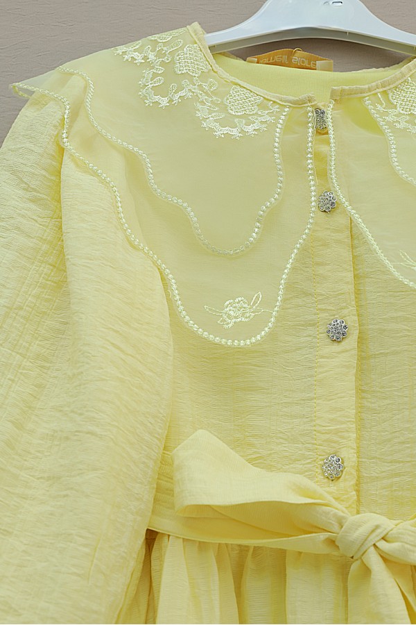 Organza Peter Pan Collar Crinkle Dress with Stone Buttons -Yellow