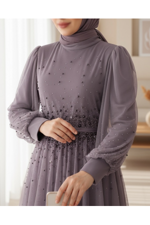 Design Stone Detailed Embossed Tulle Evening Dress -Cherry Color