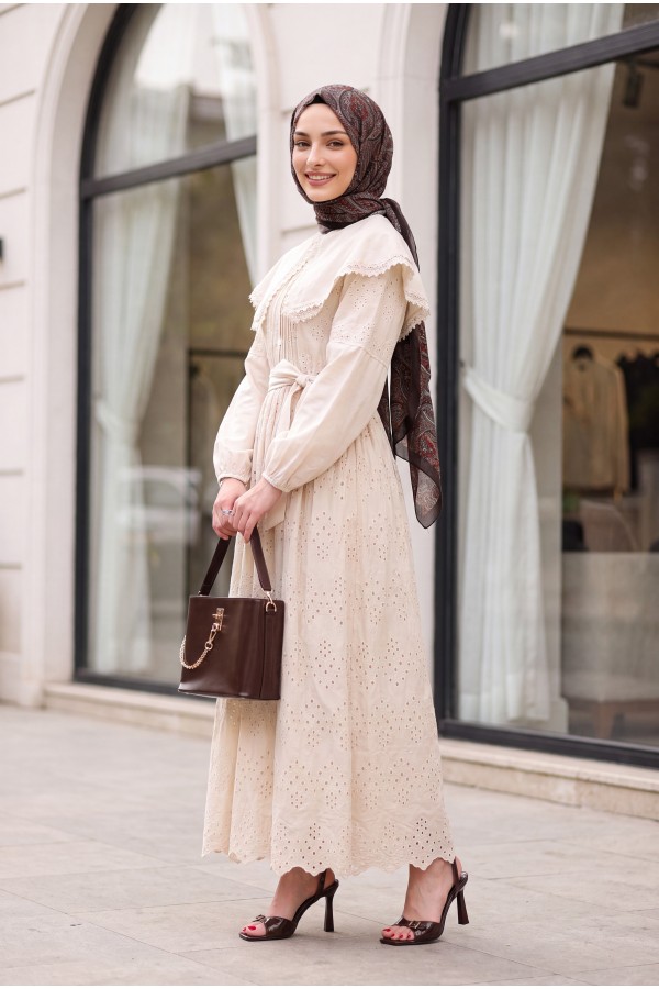 Cape Collar Lace Detail Dress - Beige