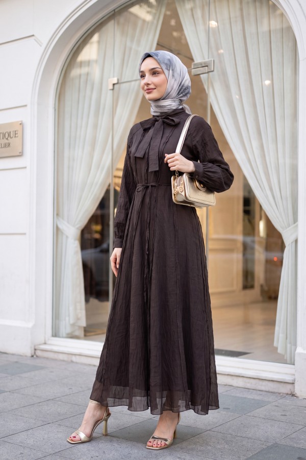 Lined Raglan Sleeve Dress with Tie Neckline and Belt -Dark Coffee