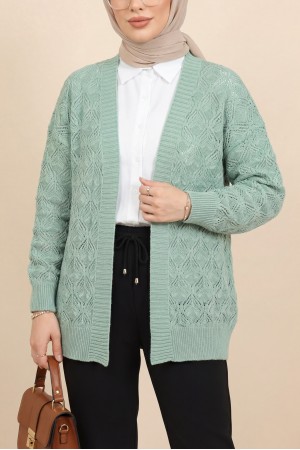 Desenli Araboy Örme Triko Hırka  -Mint