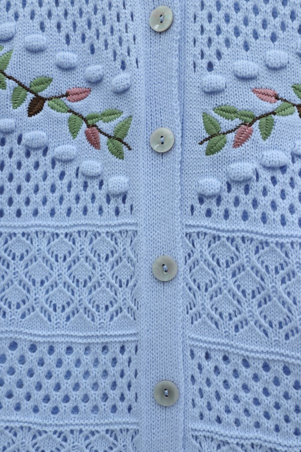 Buttoned Front Embroidered Openwork Knit Cardigan   -Baby Blue
