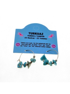 Natural Stone Cancer Zodiac Sign Turquoise Stone Zodiac Sign Earrings 